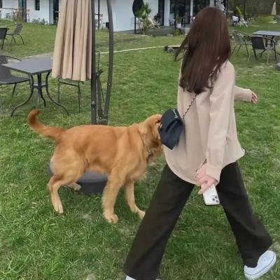 遇见莉莉 海报